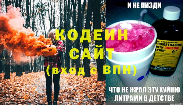 хмурый Лиски