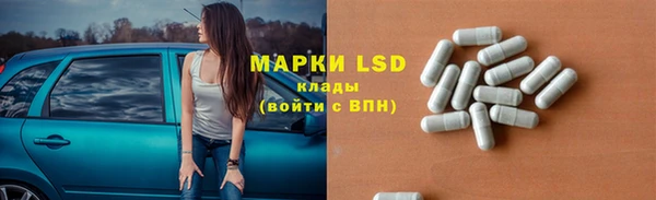 хмурый Лиски