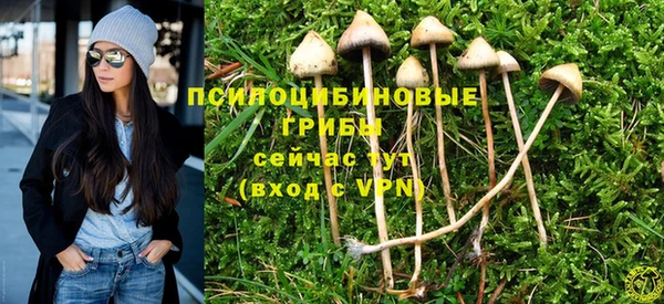 хмурый Лиски