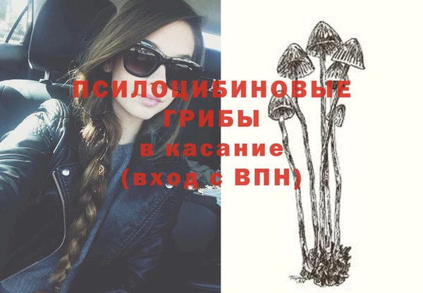стафф Липки