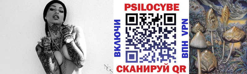 Псилоцибиновые грибы Psilocybine cubensis  Купить закладки  Можайск 